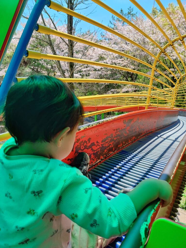 八幡山公園のローラーすべりだい