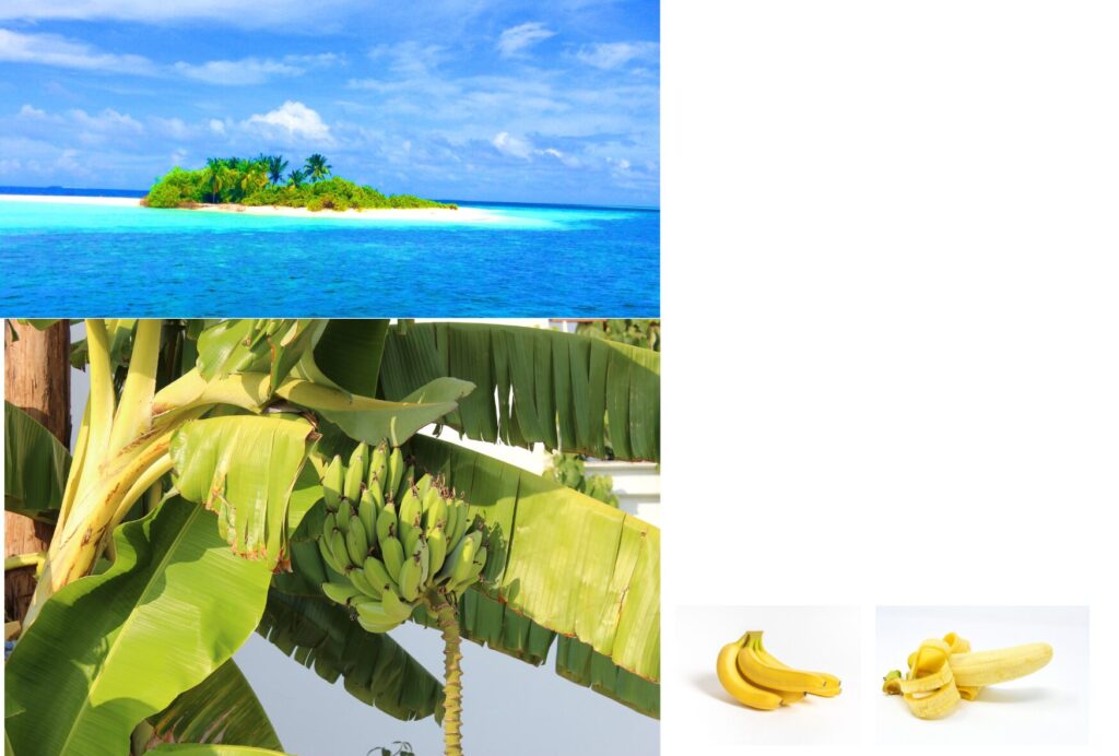 童謡『バナナのおやこ』イメージ画像