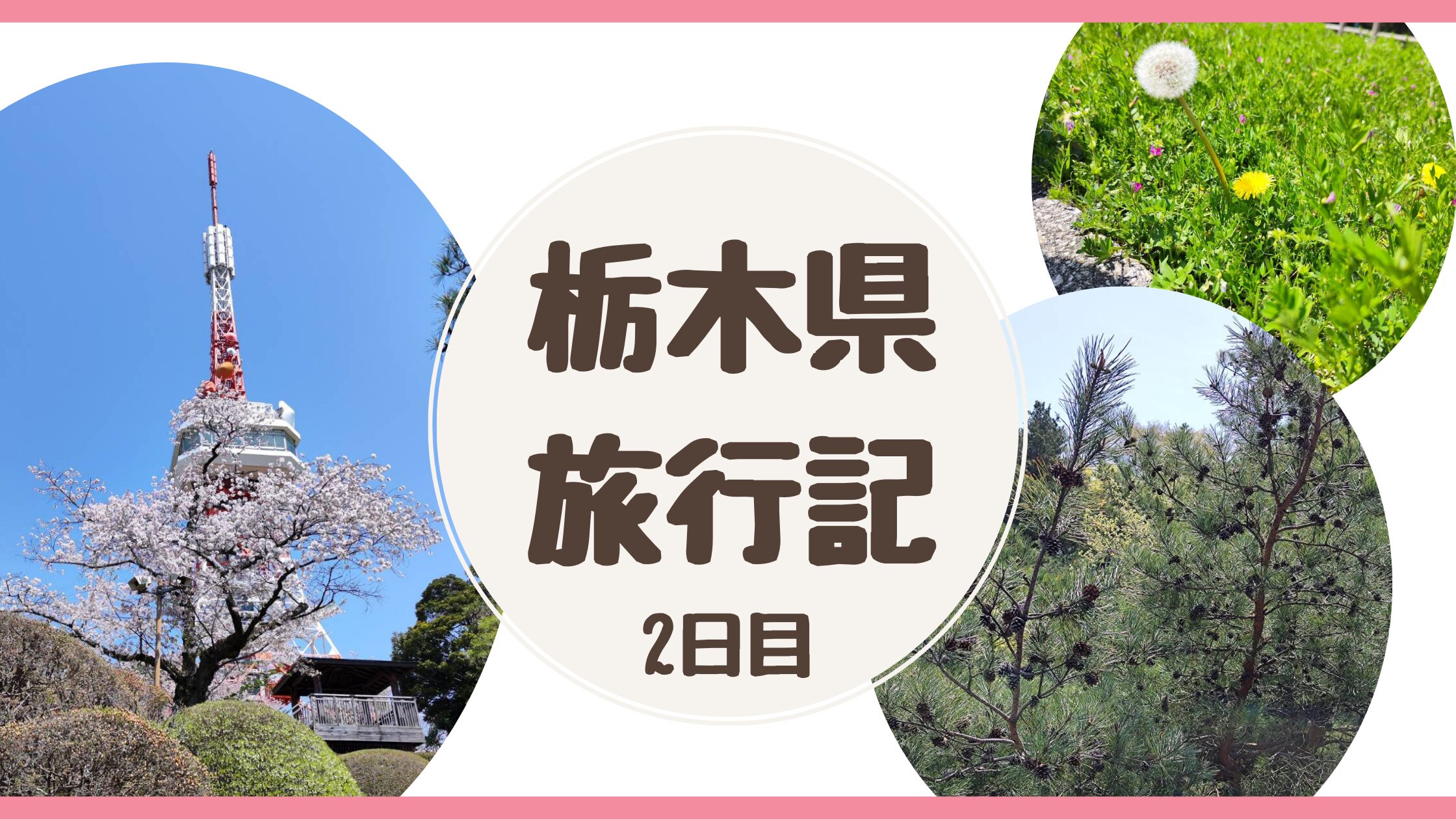 こどもたちが成人するまでに47都道府県制覇を目指す家族の栃木県旅行記2日目