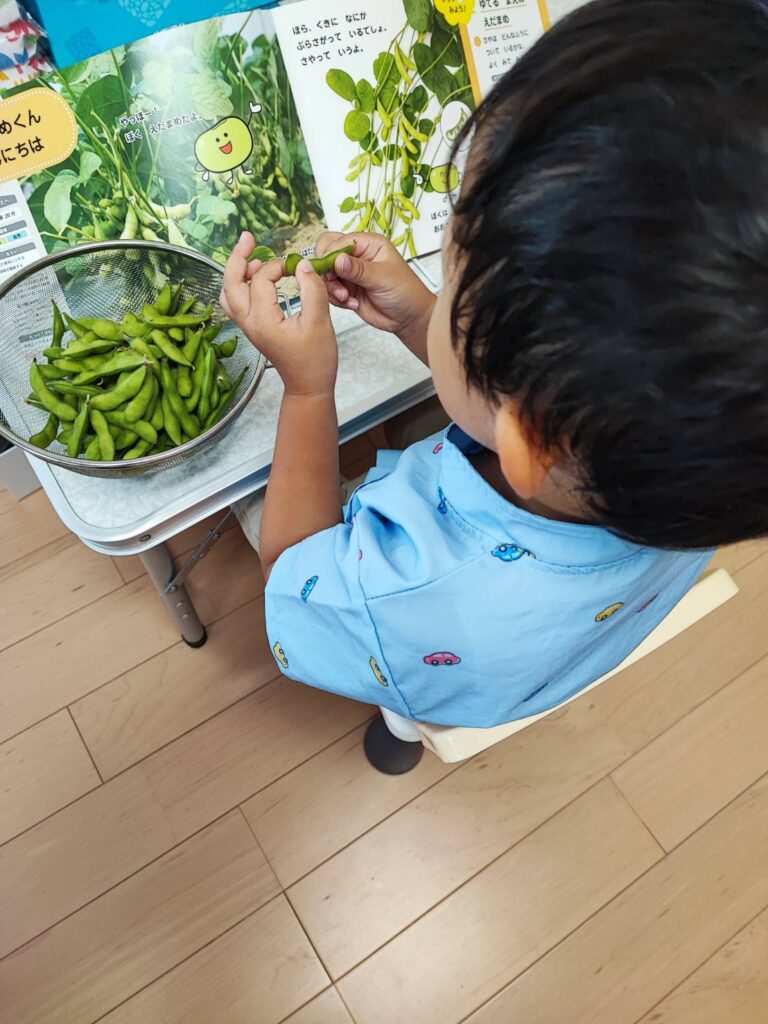 ぺあぜっとの冊子で茎からぶら下がっているさやを確認している様子