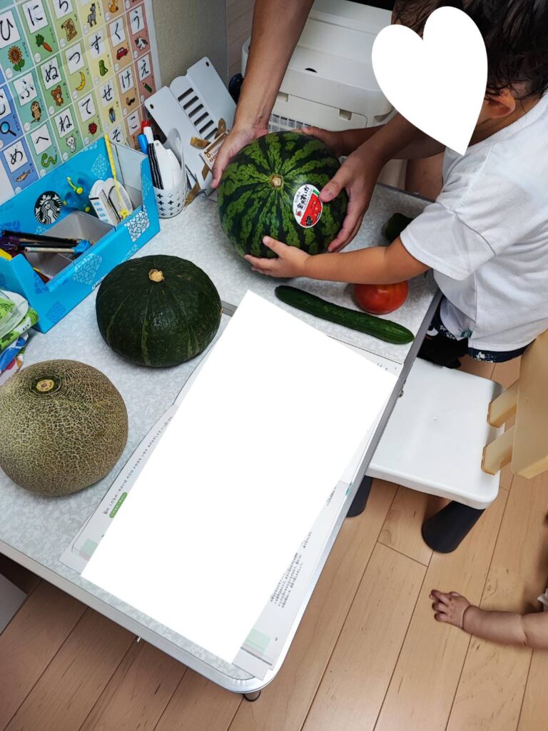 小学館のきせつの図鑑を見て夏野菜を確認し、スイカを持ってみる