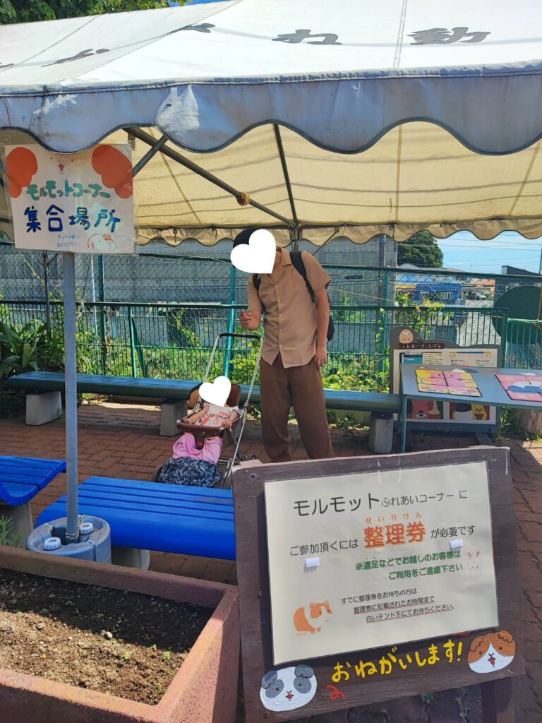 かみね動物園のモルモットふれあいコーナーの整理券