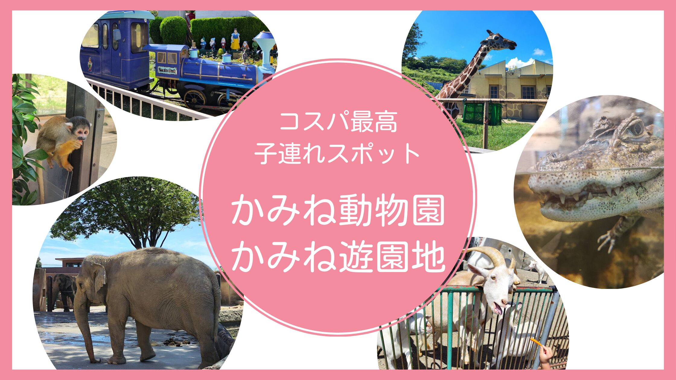 茨城県日立市の子連れスポット「かみね動物園＆かみね遊園地」の口コミ・レビューブログ