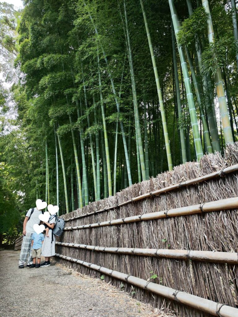 偕楽園の竹林