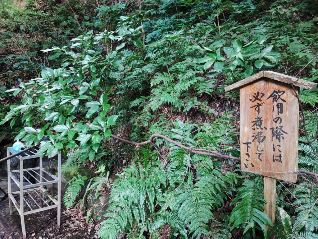 鹿島神宮の御手洗池の水