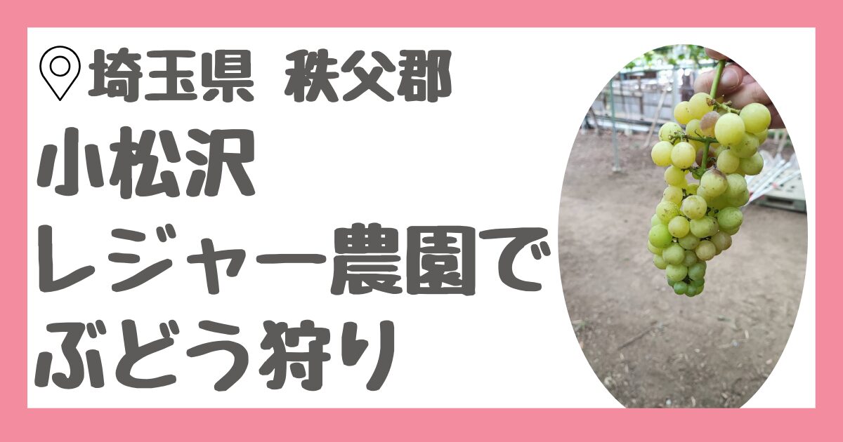 埼玉県秩父郡にある小松沢レジャー農園でぶどう狩り体験をレビュー