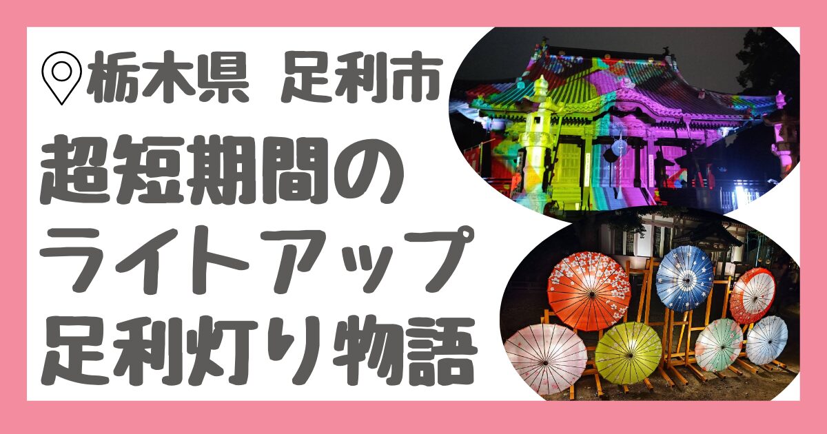 栃木県足利市の子連れで行けるライトアップイベント「足利灯り物語」を解説