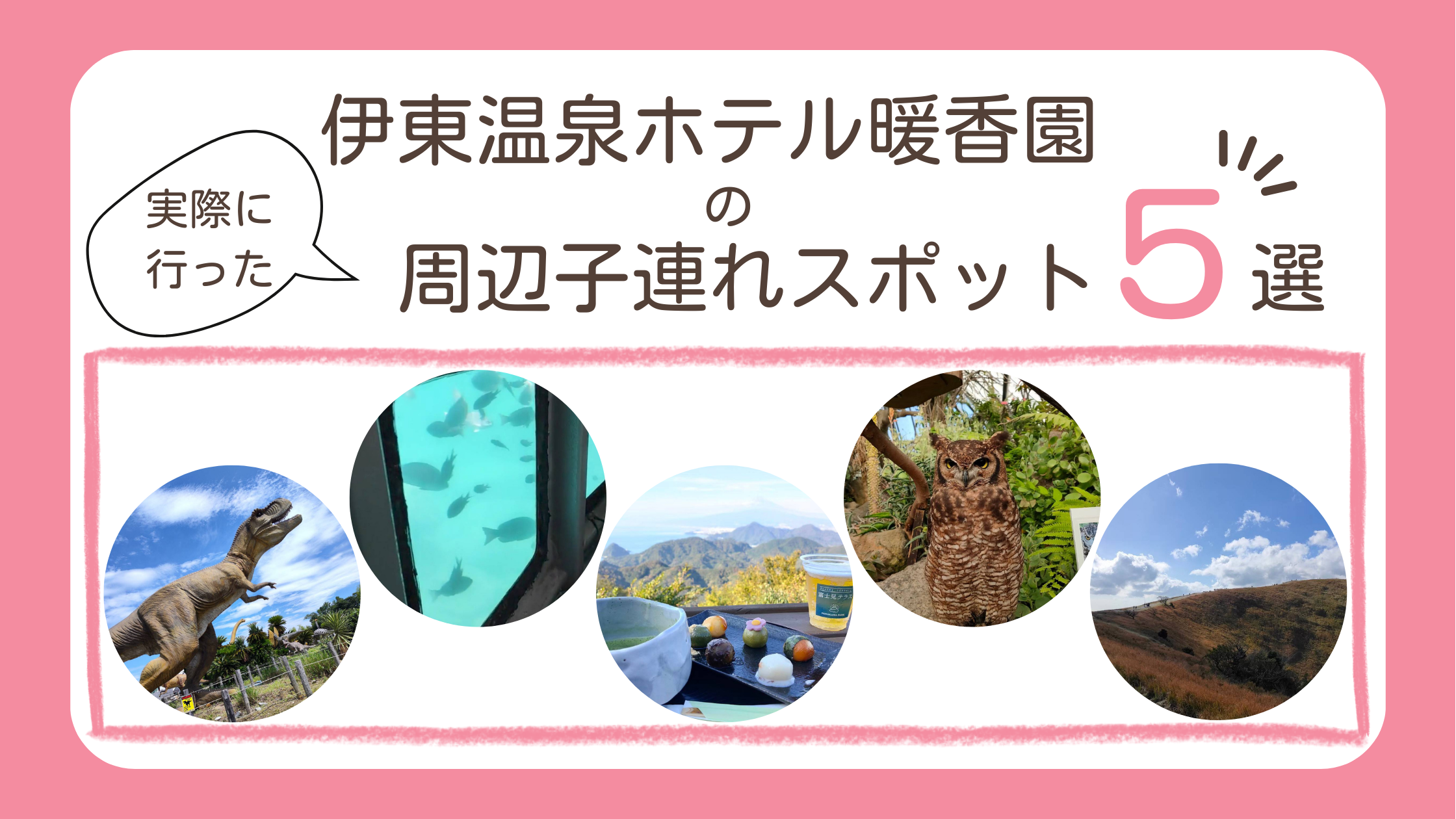 伊東温泉ホテル暖香園から車で行ける周辺子連れスポットを5つ紹介する旅ブログ