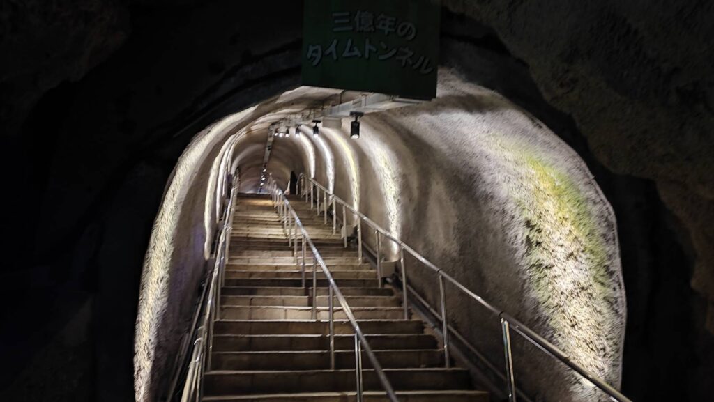 秋芳洞の3億年のタイムトンネル
