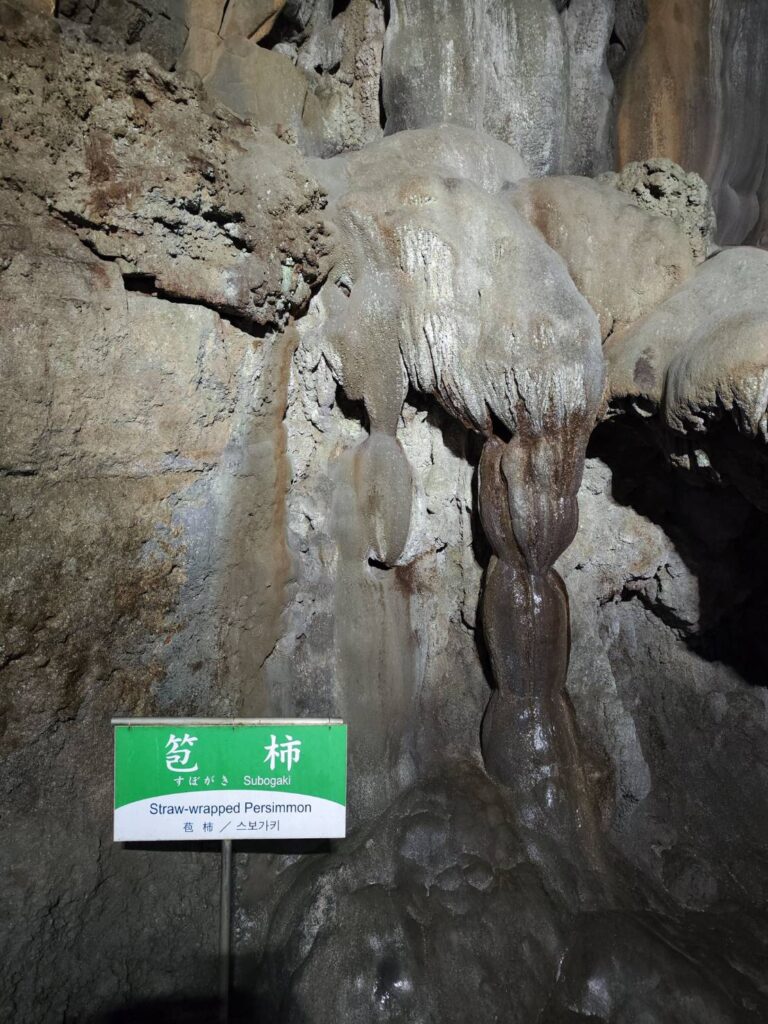 秋芳洞の笣柿