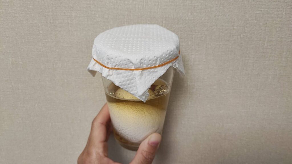 コップにキッチンペーパーを被せて輪ゴムで止める