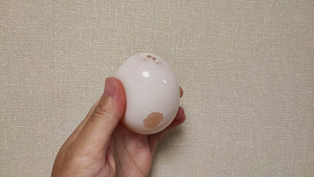 卵の殻が溶けた