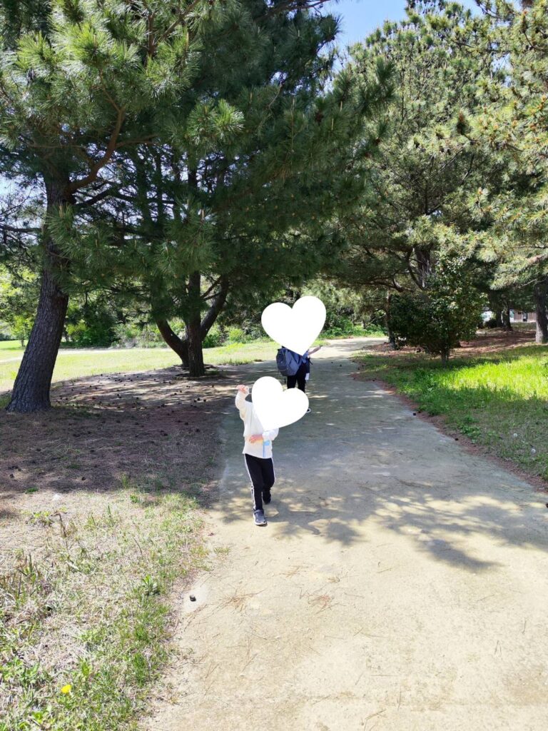 巌流島で見つけたたんぽぽ