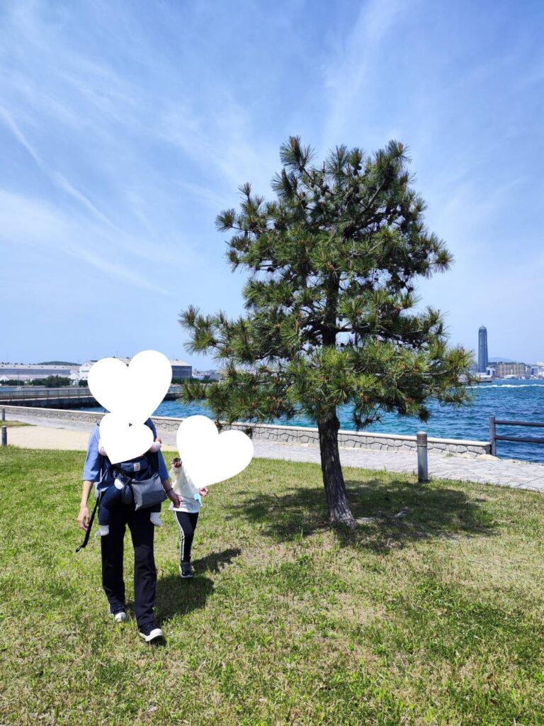 巌流島で見つけた松ぼっくり