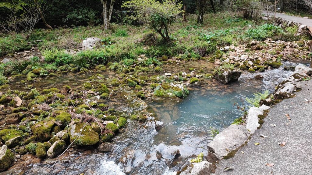 秋芳洞の正面入口に向かう道