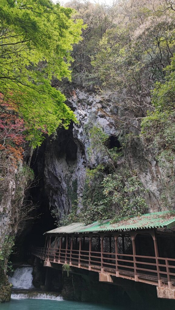 秋芳洞の正面入口