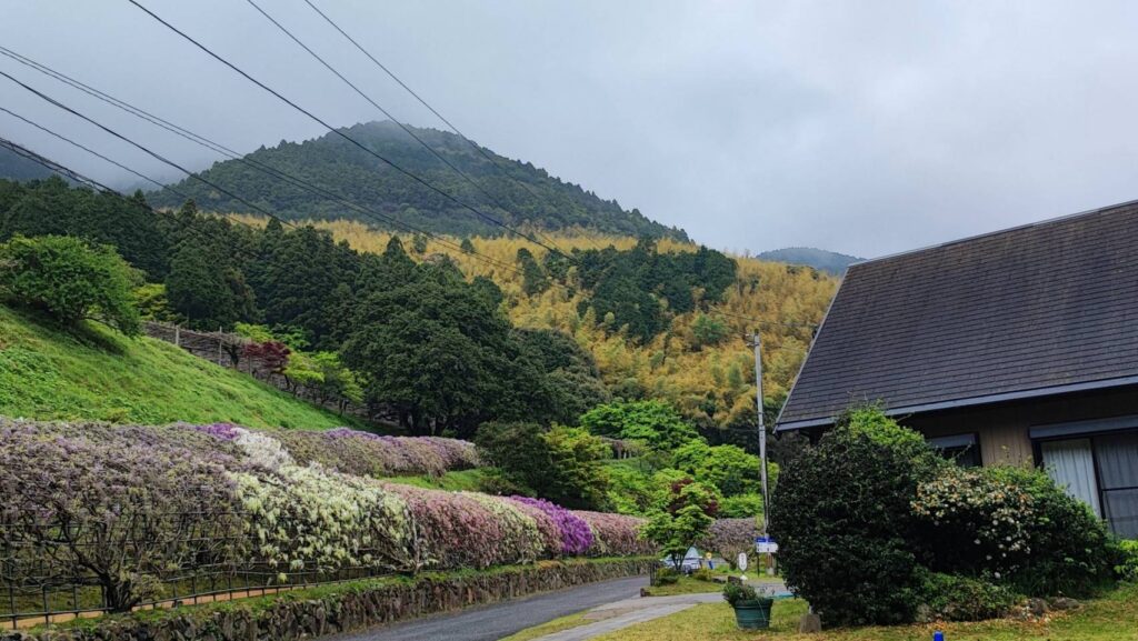 河内藤園の駐車場前