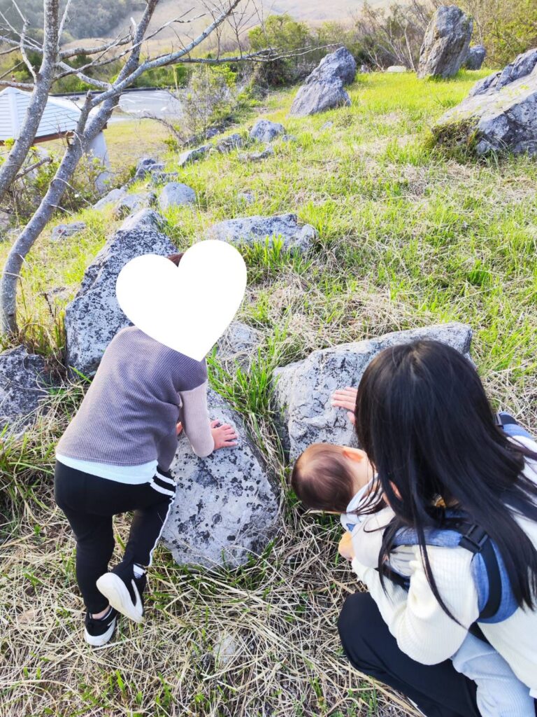 秋吉台の岩