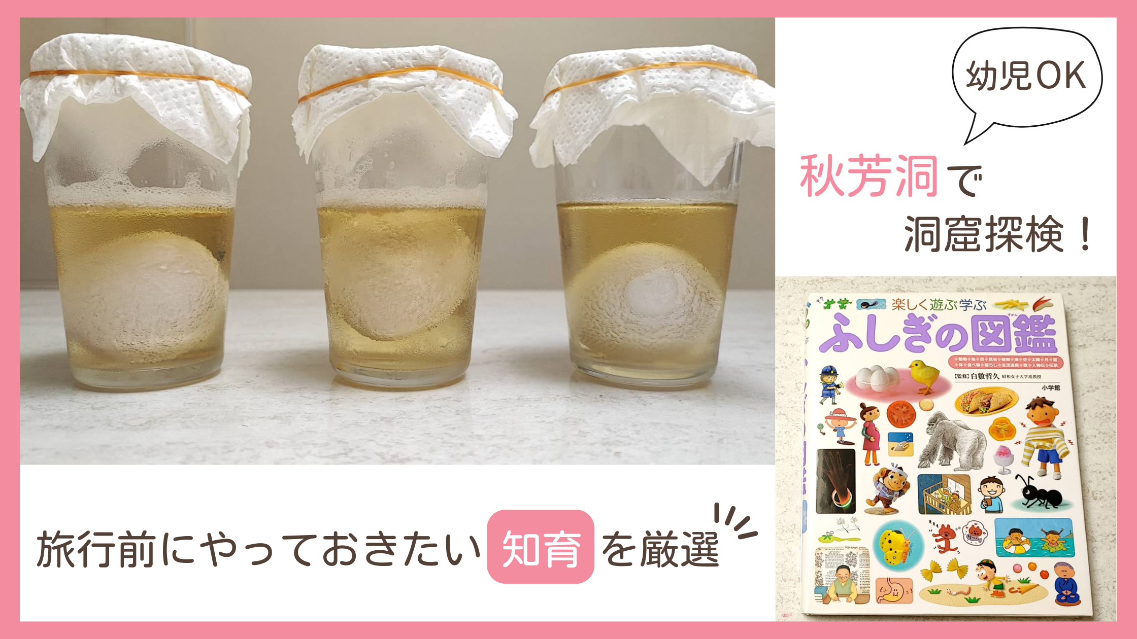 小さい子と秋芳洞に行く前におすすめの知育！絵本と実験を紹介するブログ