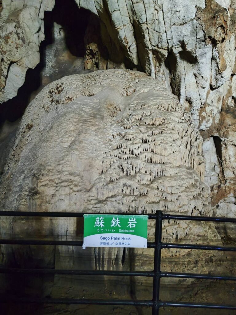 秋芳洞の蘇鉄岩