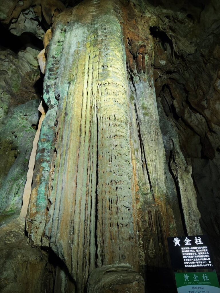 秋芳洞の黄金柱
