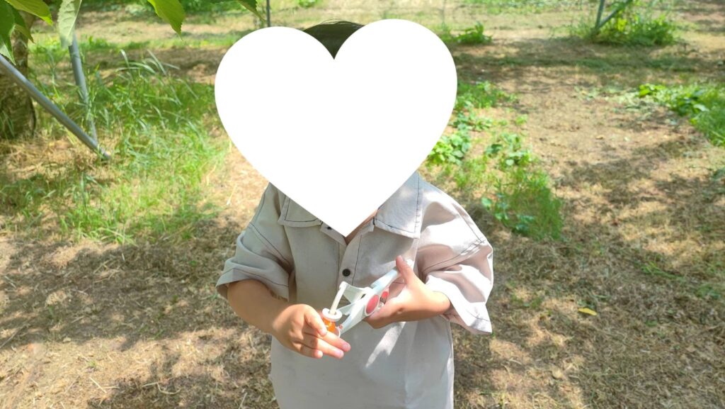 さくらんぼの種取り器