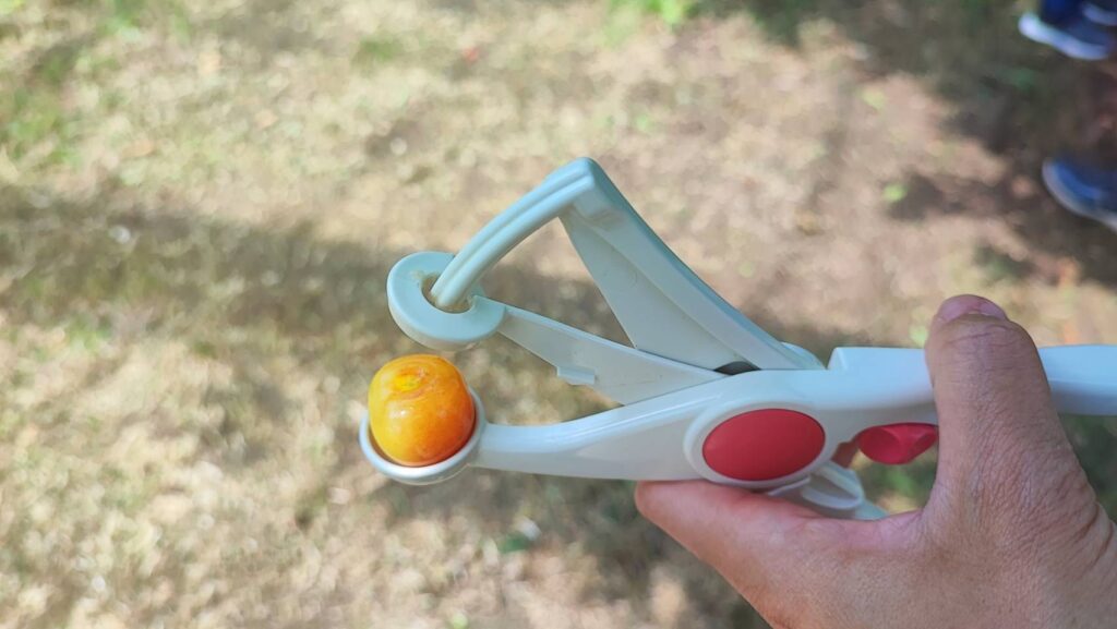 さくらんぼの種取り器