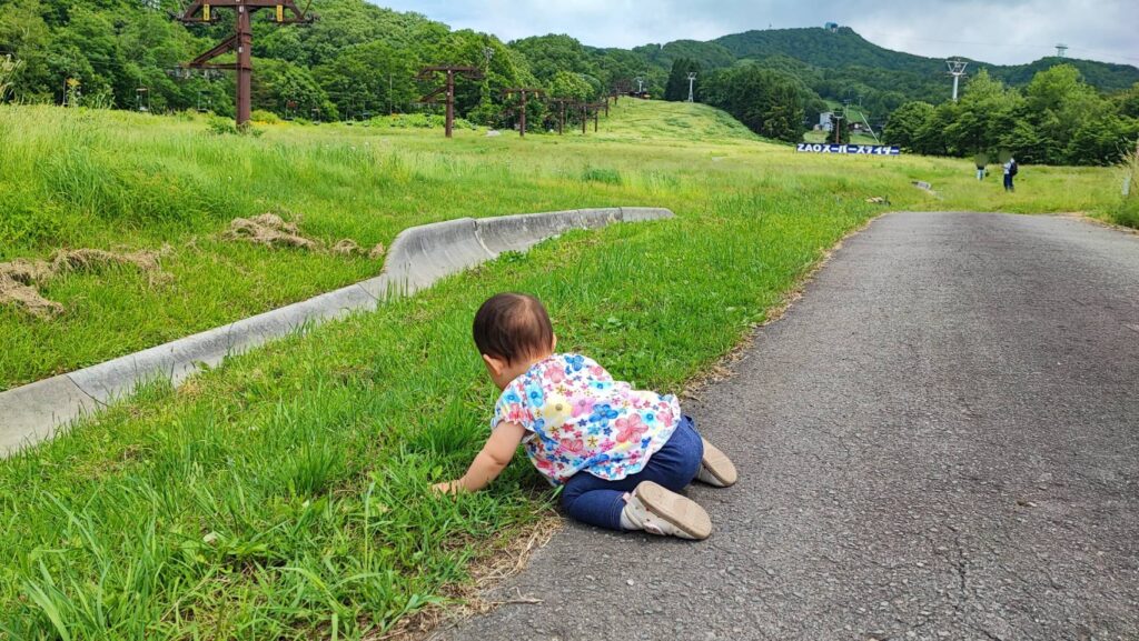 上の台ゲレンデのスーパースライダーのゴール付近