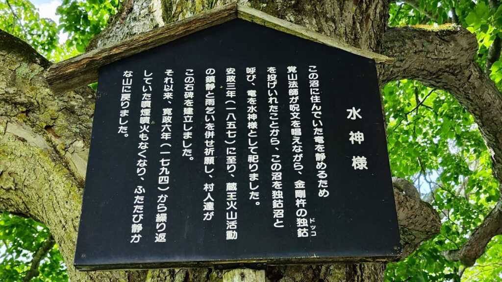 ドッコ沼の看板