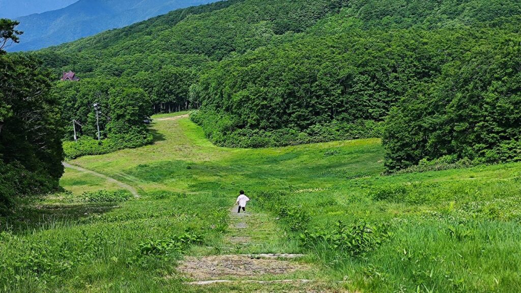 蔵王中央ロープウェイの鳥兜駅からドッコ沼へ歩く道
