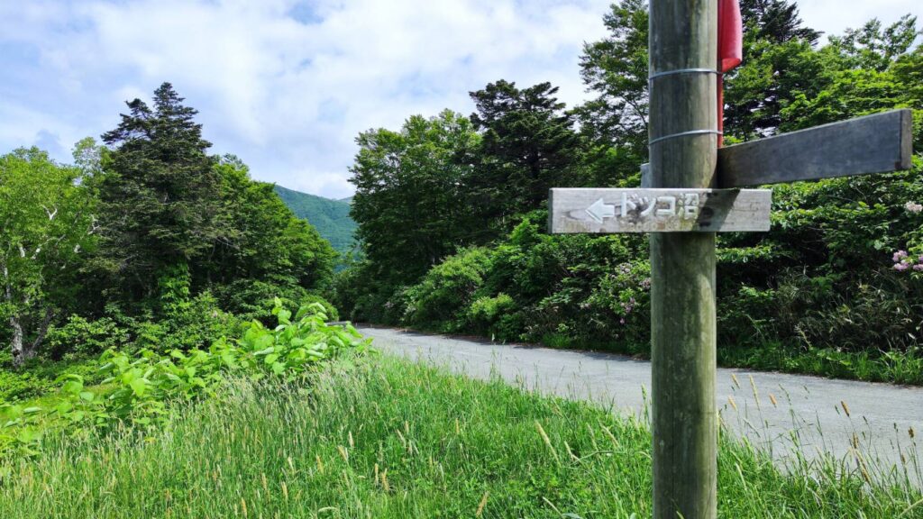 蔵王中央ロープウェイの鳥兜駅からドッコ沼へ歩く道