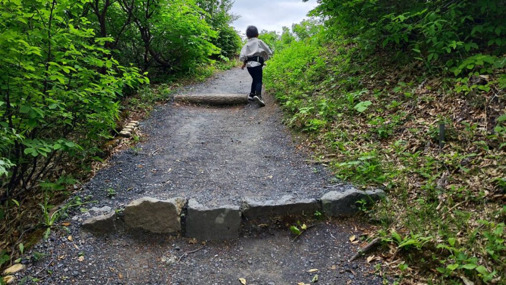 鳥兜展望台への道