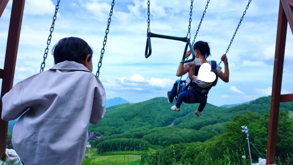 鳥兜駅にある空中ブランコ