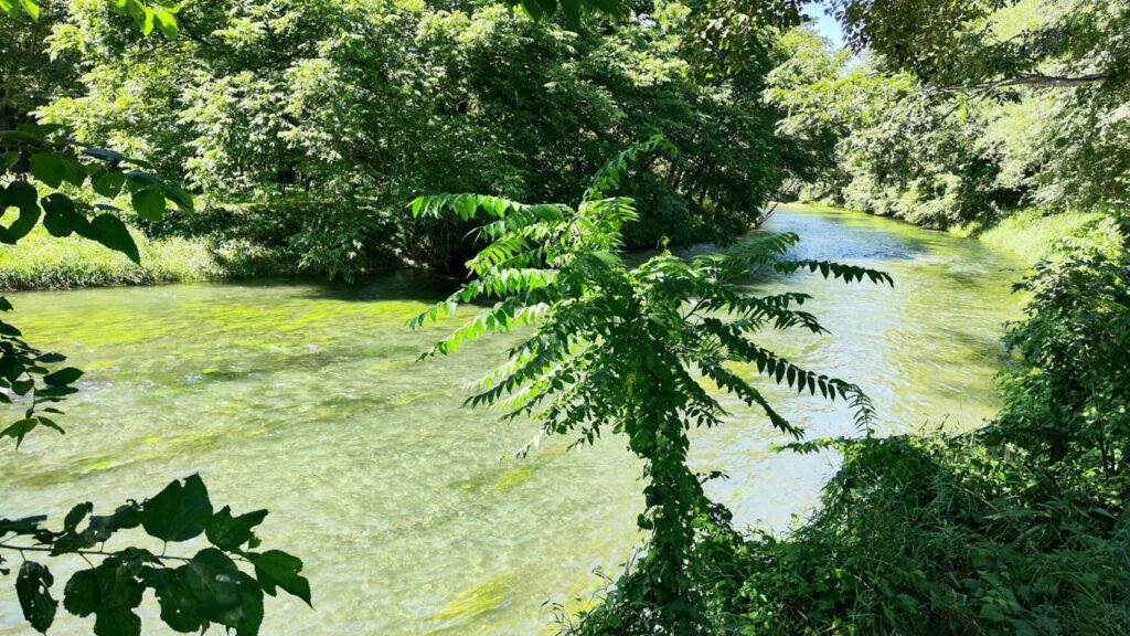 大王わさび農場の水車の横を流れる川