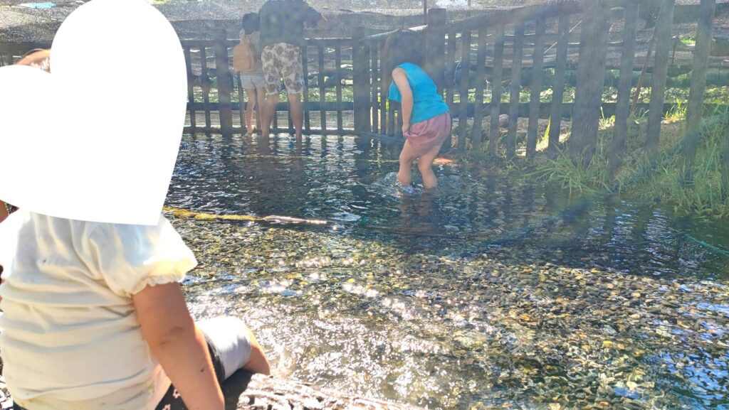 大王わさび農場の親水広場