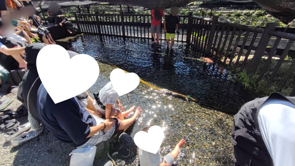 大王わさび農場の親水広場