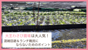 夏の休日に大王わさび農場に行って大混雑を前にランチを断念した体験談を紹介するブログ